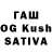 Галлюциногенные грибы Cubensis Sunil Khumar