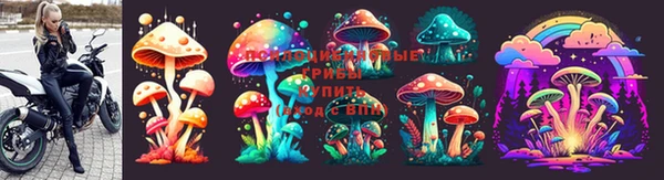 ECSTASY Карталы