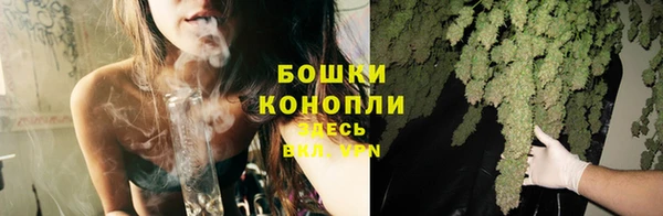 дмт Карпинск