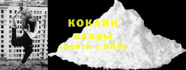 дмт Карпинск