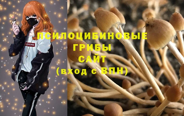 дмт Карпинск
