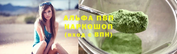 прущие грибы Касимов