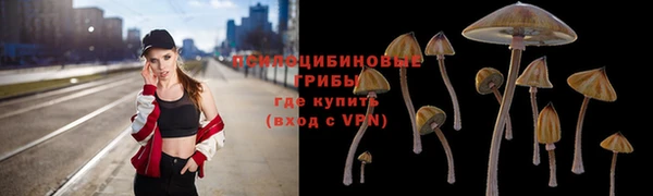 дмт Карпинск