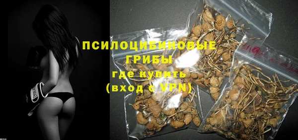 прущие грибы Касимов