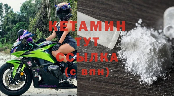 прущие грибы Касимов