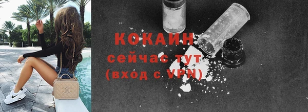 дмт Карпинск