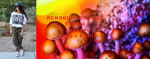 дмт Карпинск